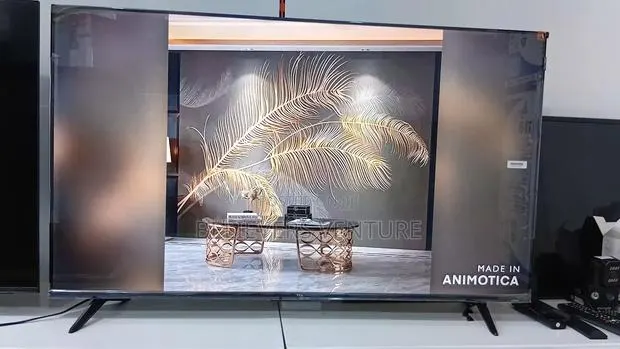 Entertainment Without Limits – 50” Qled Display · Photo 1