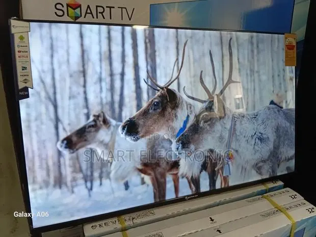 Dolphin Bay 43" Smart Led Tv – Your Window Dolphine Bay · Photo 1