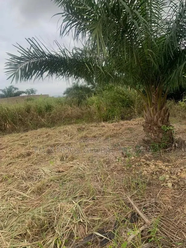 Litigation Free Land for Sale in Accra. · Photo 1