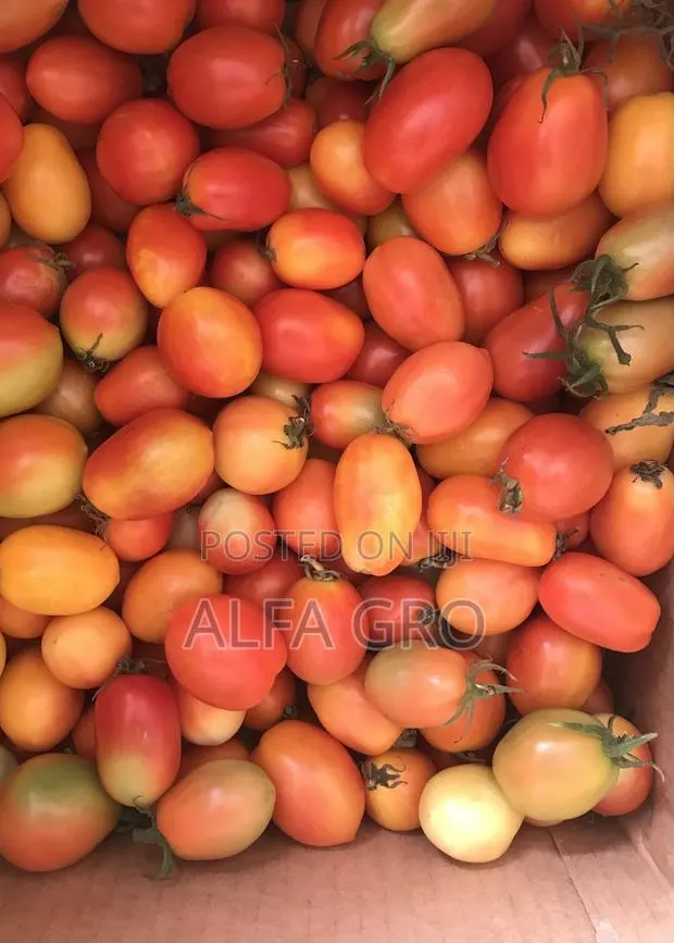 Tomatoes Cherry Sizes(200 in Carton). · Photo 1