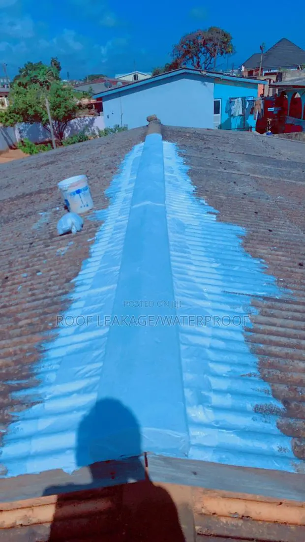 Roof Leakage · Photo 1