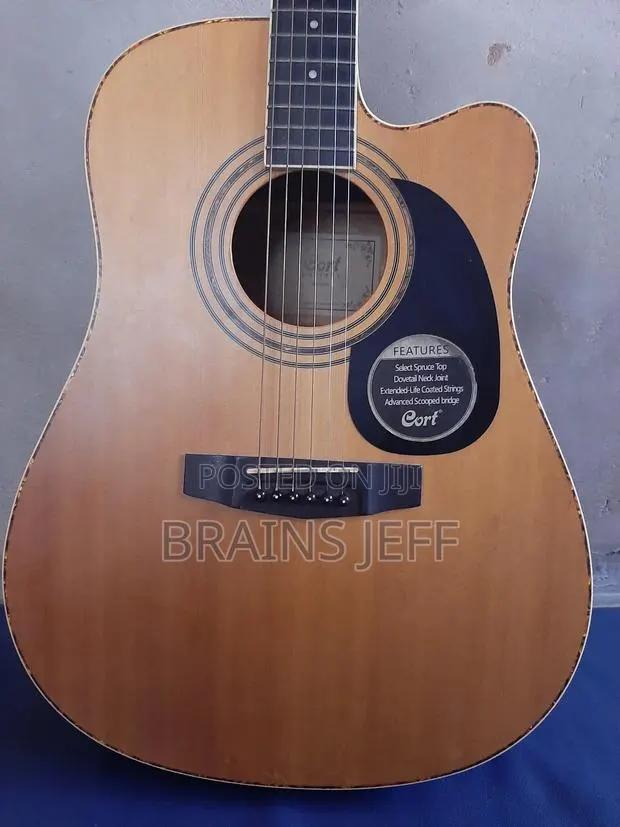 Cort Semi-Acoustic Guitar · Photo 1