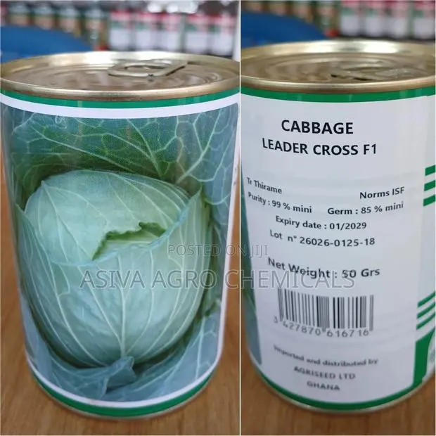 Cabbage (Leader Cross F1) 50grams · Photo 2