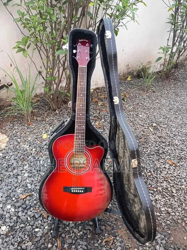 Sepia Crue Eaw-01 RDS Semi Acoustic Guitar · Photo 1