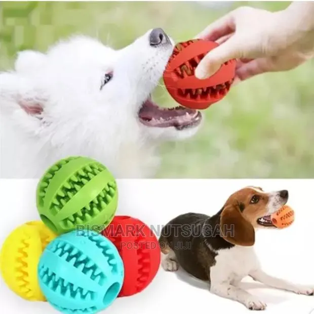 Dog Toy for Sale · Photo 1