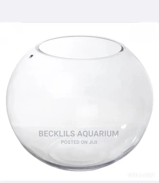 Bigger Aquarium Glass Bowls · Photo 1