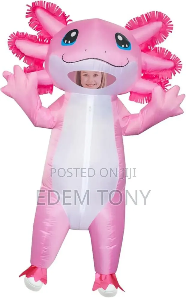 Stegosaurus Inflatable Axolotl Costume for Kids Blow Up Costume · Photo 1