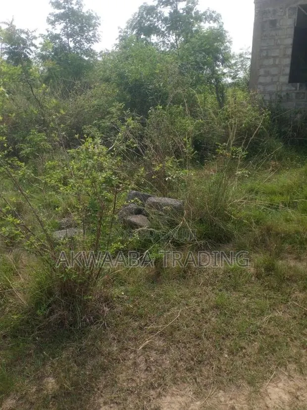 LAND or HOUSE for Sale. · Photo 4