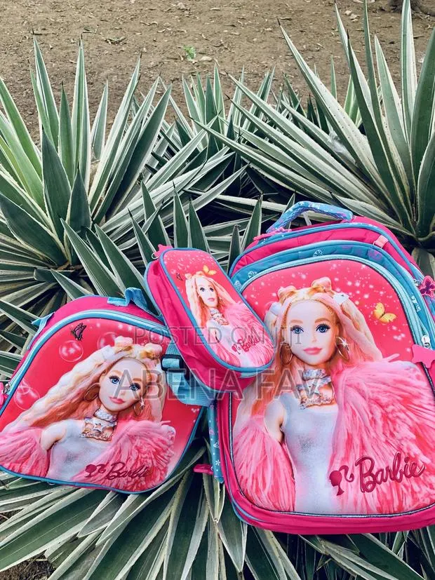 3 in 1 School Bag · Photo 1