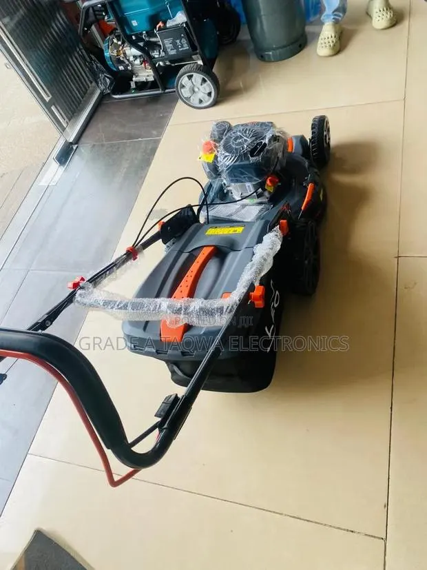 LM51Z-2L Leo 5.5hp Lawn Mower · Photo 1