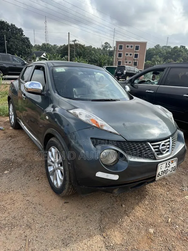 Nissan Juke SL 4dr Hatchback AWD (1.6L 4cyl Turbo CVT) 2015 Gray · Photo 1