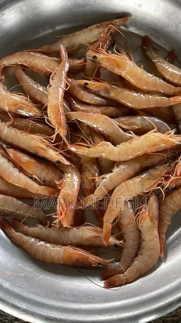 Fresh Shrimps Available for Supply · Photo 1