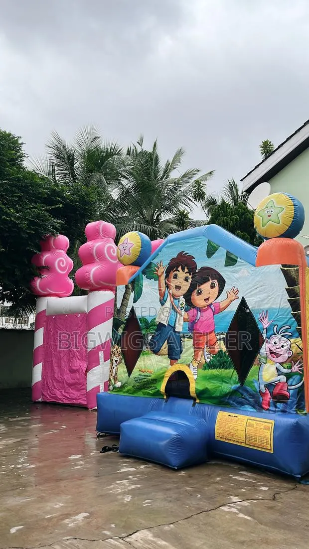 Bouncy Castle · Photo 1