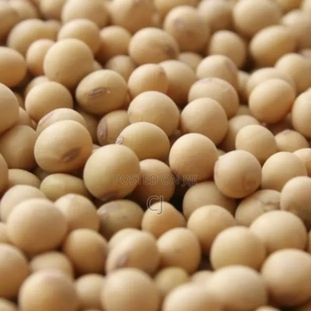 Soya Beans · Photo 1