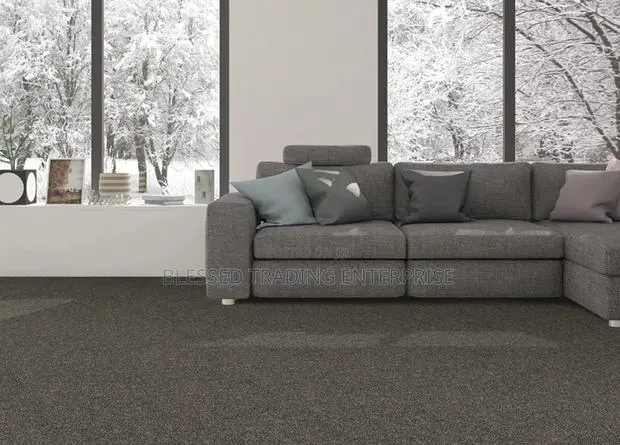 Living Room Carpet · Photo 1