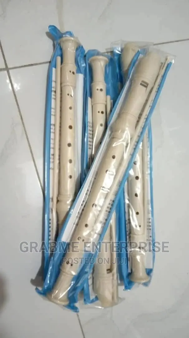Plastic Flute Or Recorder · Photo 1