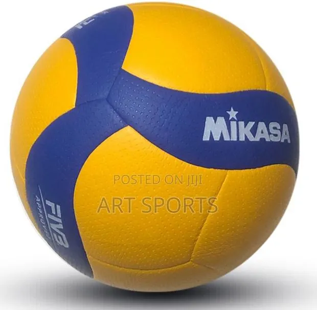 Mikasa Volleyball · Photo 1