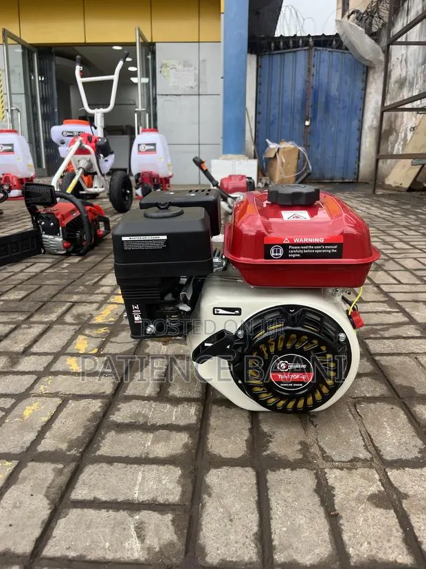 Gasoline Engine (Tm-170f-2) · Photo 1