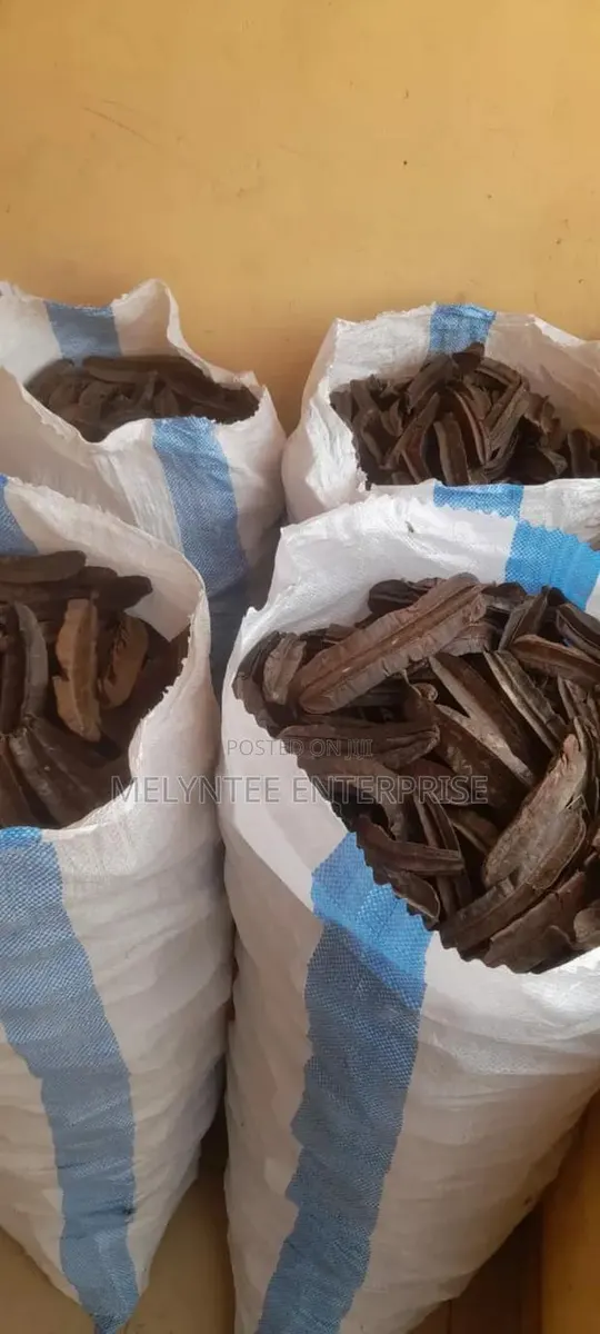 Prekese, Aidan Fruit (Tetraplaura Tetraptera) Wholesale · Photo 1