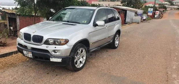 BMW X5 3.0i 2006 Gray · Photo 1