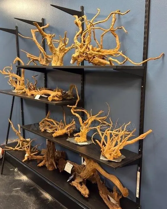 Premium Aquarium Driftwood · Photo 1