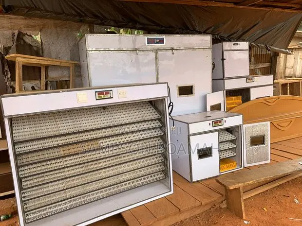 5280 Capacity Eggs Incubator · Photo 1