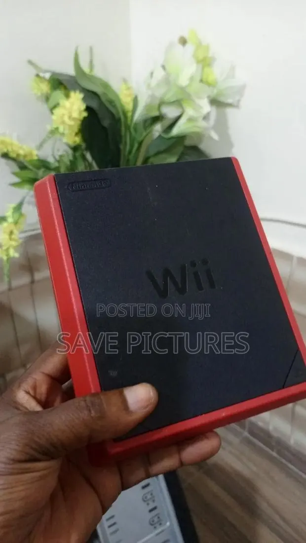 Nintendo Wii Mini Video Game