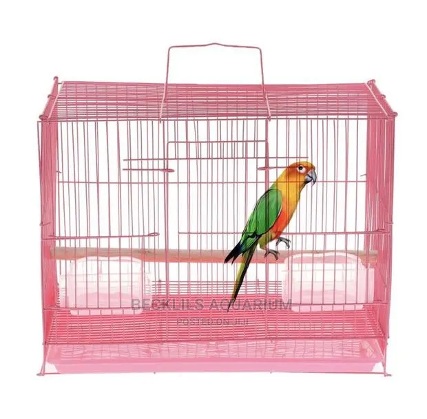 Big Cages for Big Bird · Photo 1