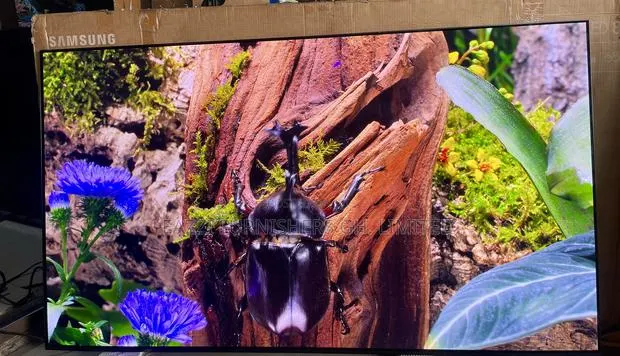 SAMSUNG OLED 65 Inches Smart 65s93F PERFECT GAMING 144 Hz Hdr+ TV · Photo 1