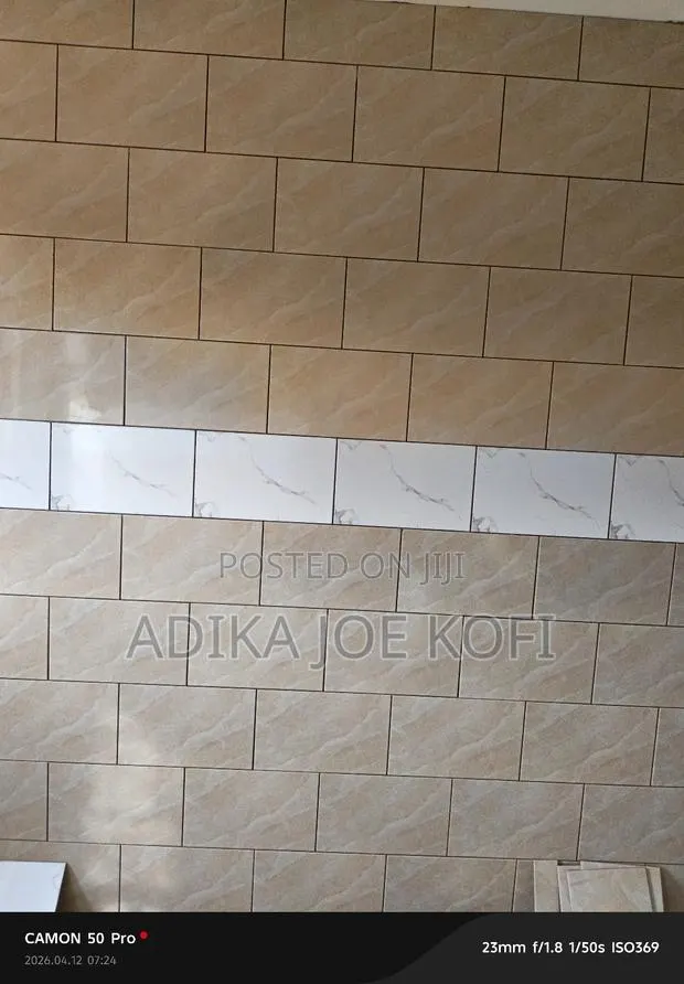 Professional Tiler · Photo 1