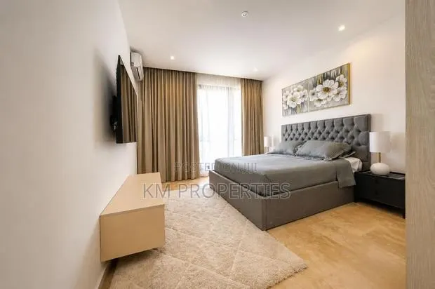 Fully-Furnished 1 Bedroom Hall in Cantonments · Photo 1