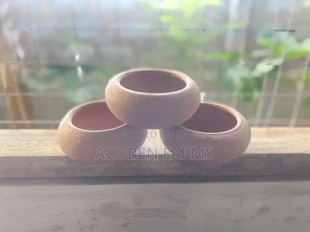Rabbit Clay Feeding Pot · Photo 1