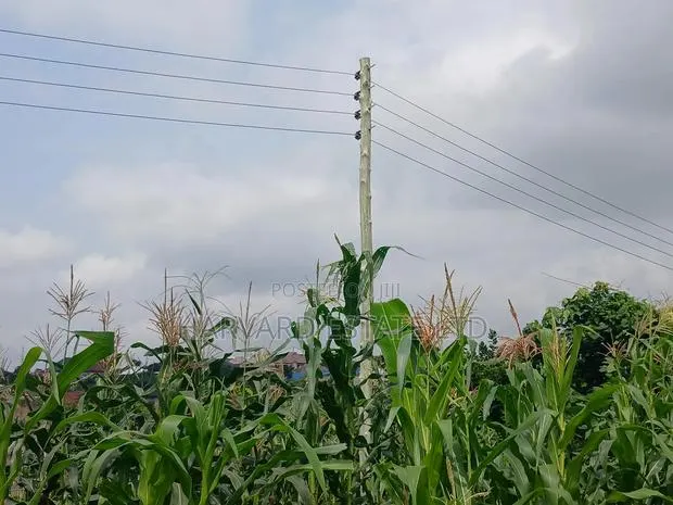 Land for Sale at Ejisu Besease · Photo 1