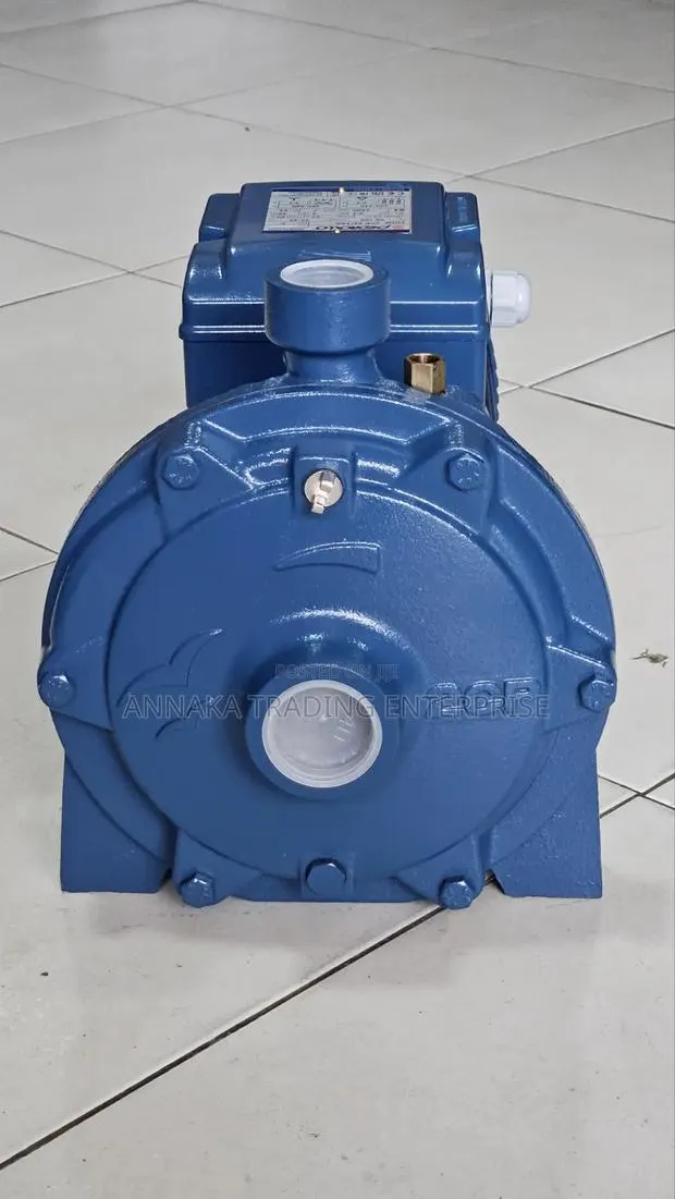 Italian Water Pump · Photo 1
