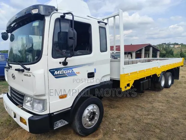 Hyundai Gold Double Axle. Manual Engine. · Photo 1