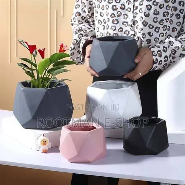 Nordic Ins Ceramic Pots Multi-Meat Green · Photo 1