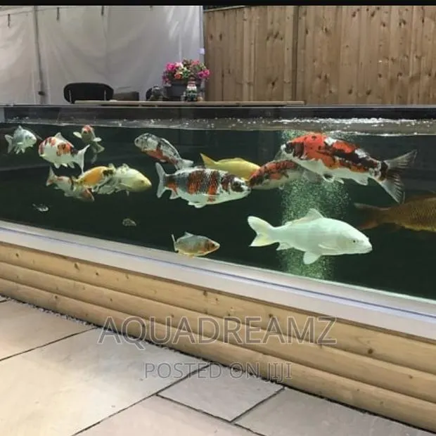 Glass Fish Pond · Photo 1