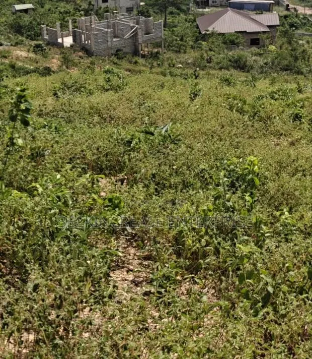 Land For Sale At Dodowa Hills · Photo 1