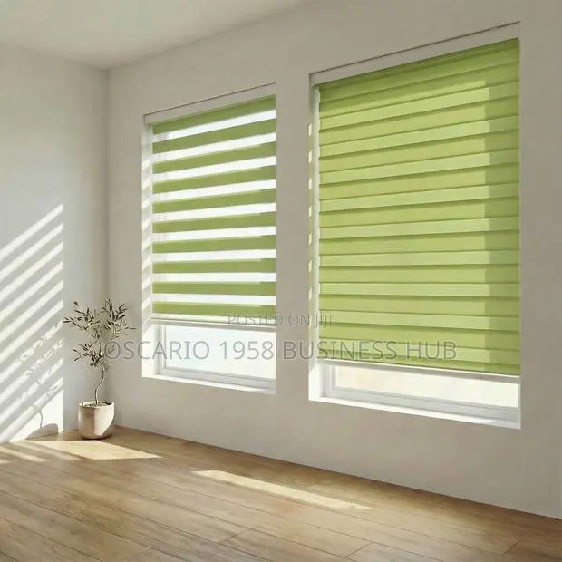 Light Green Window Blinds · Photo 1