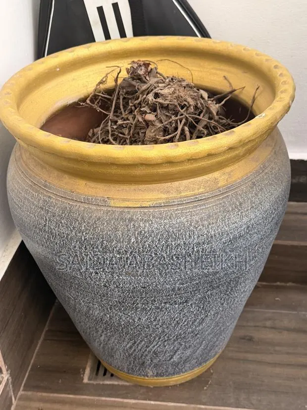Plant Pot 2 Pieces · Photo 1