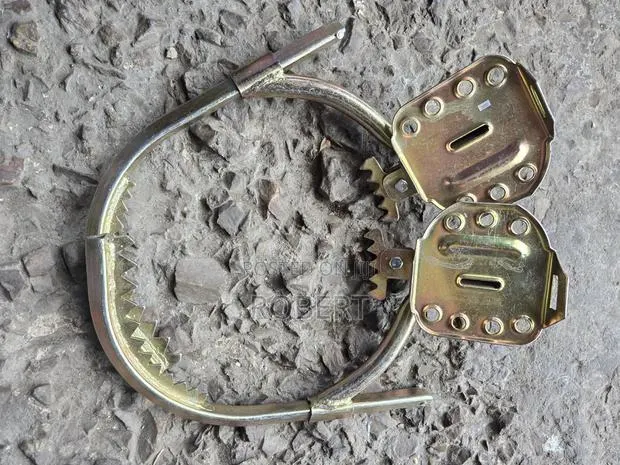 Climbing Shoes · Photo 1