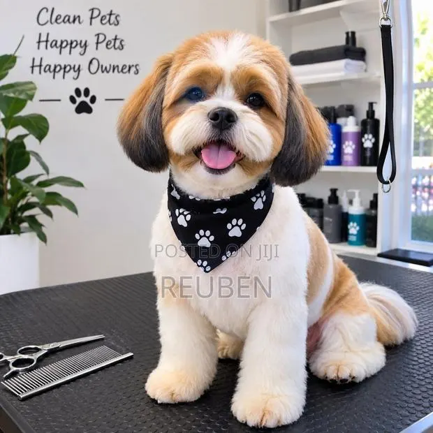 Pet Grooming · Photo 1