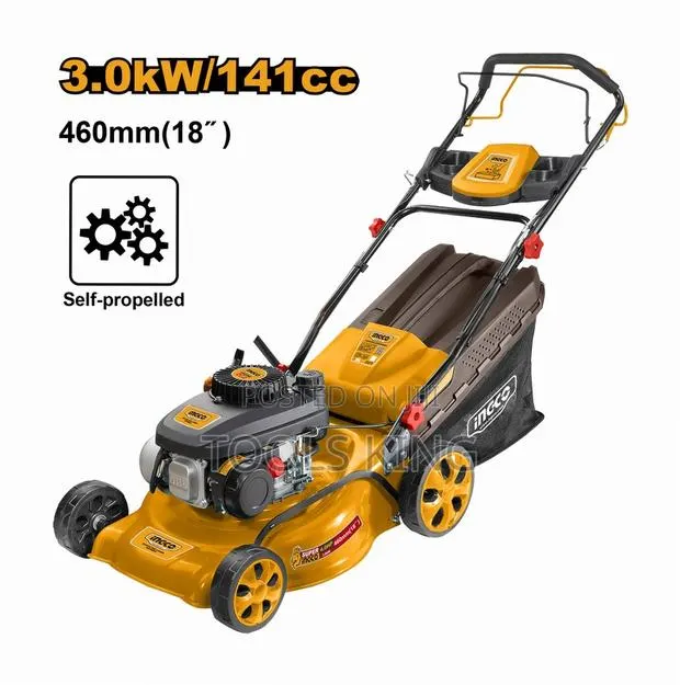 Gasoline Lawn - Glm141182 · Photo 1