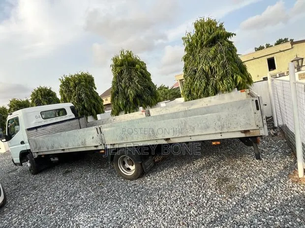 Mitsubishi Fuso Canter 2020 White · Photo 1
