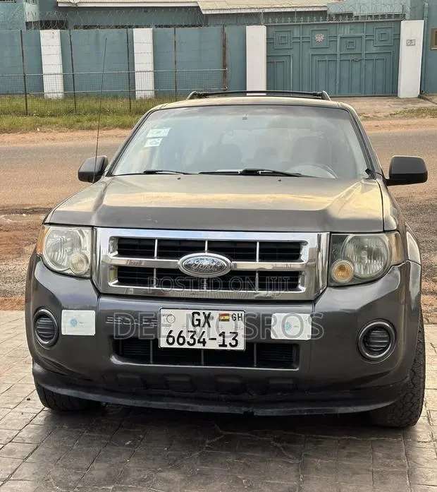 Ford Escape XLT 2010 Gray · Photo 1