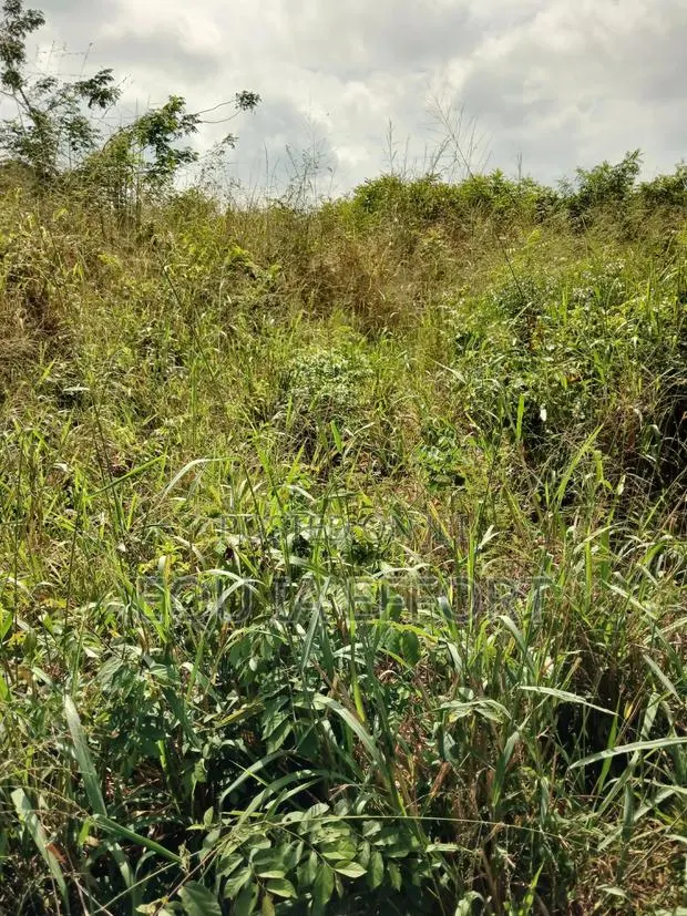 Residential and Farming Lands in Ho for Sale · Photo 1