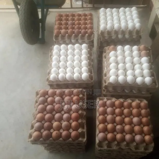 Fresh Eggs Available · Photo 1