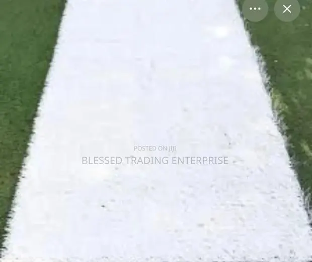 White Artificial Grass / White Astroturf · Photo 1
