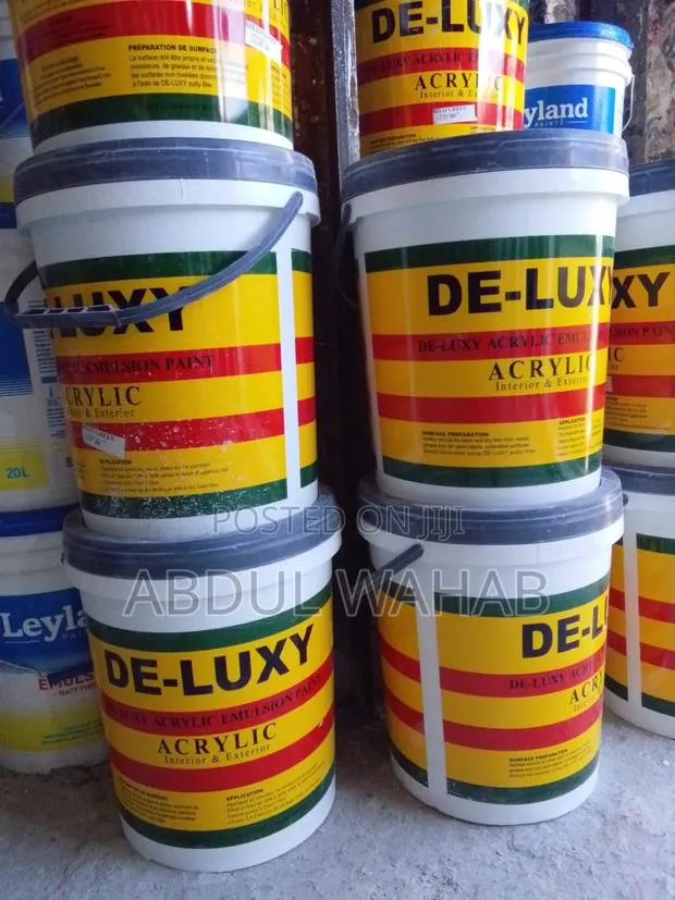 Deluxe Paint · Photo 1