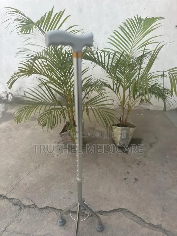 Walking Stick (Quade Cane) · Photo 1